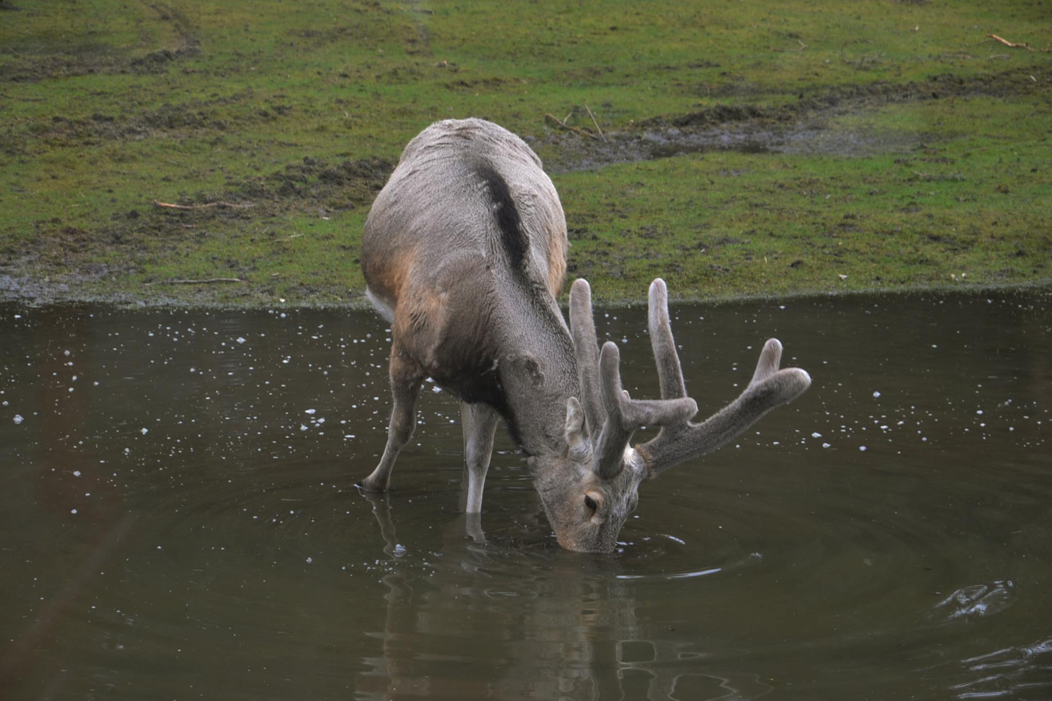 Banner background image